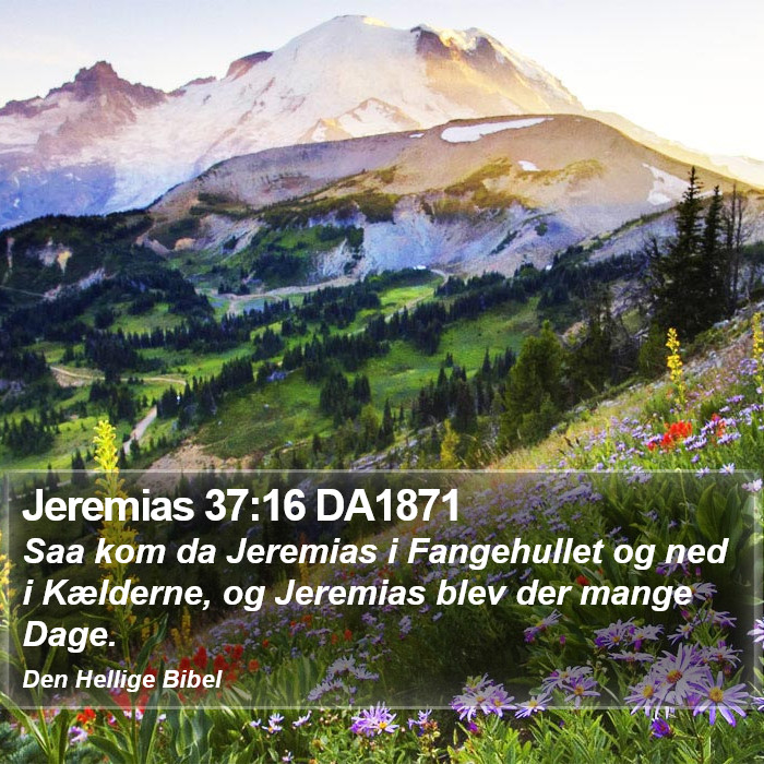 Jeremias 37:16 DA1871 Bible Study