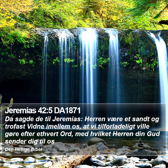 Jeremias 42:5 DA1871 Bible Study