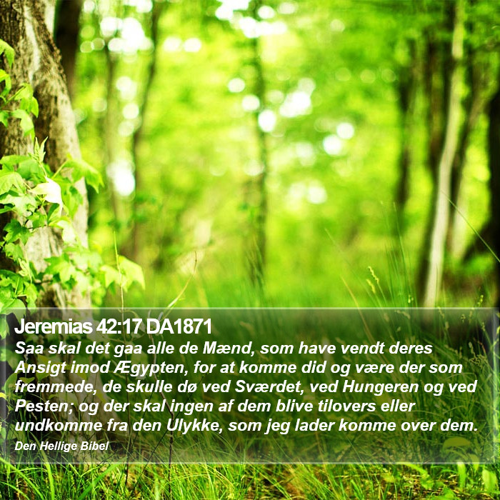 Jeremias 42:17 DA1871 Bible Study