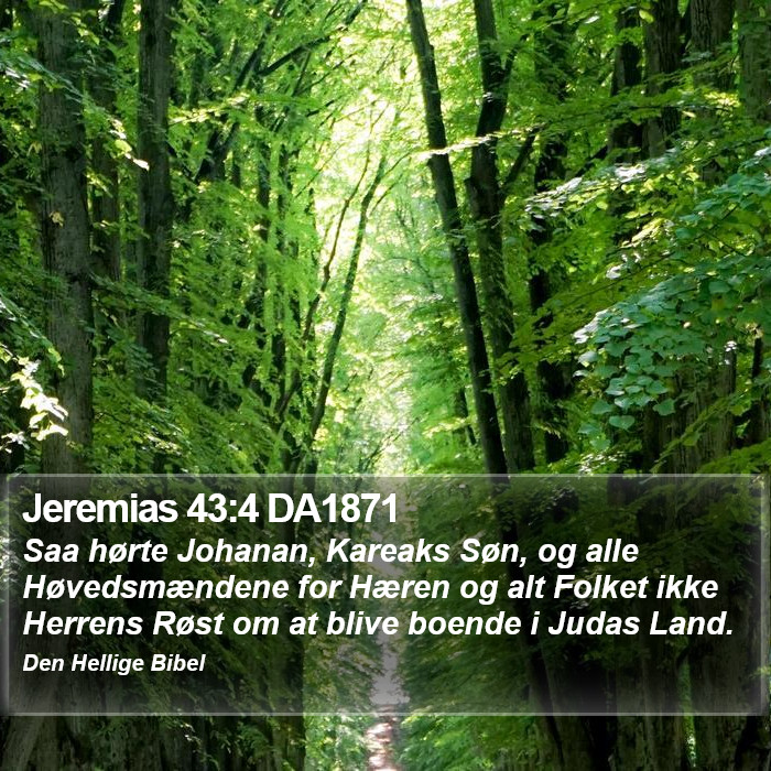 Jeremias 43:4 DA1871 Bible Study