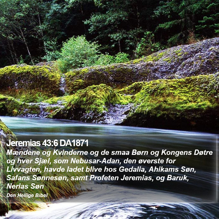 Jeremias 43:6 DA1871 Bible Study