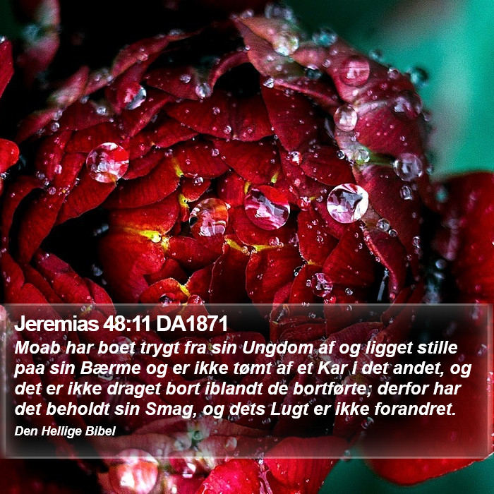 Jeremias 48:11 DA1871 Bible Study