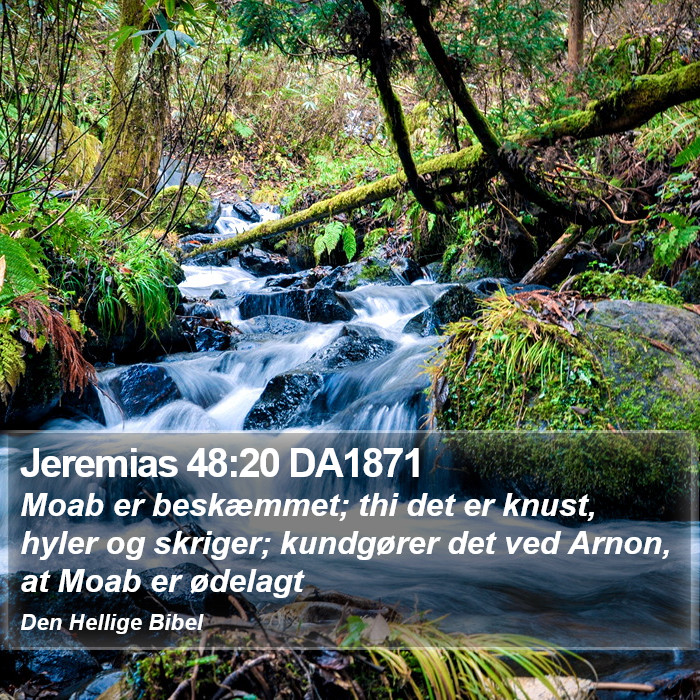 Jeremias 48:20 DA1871 Bible Study