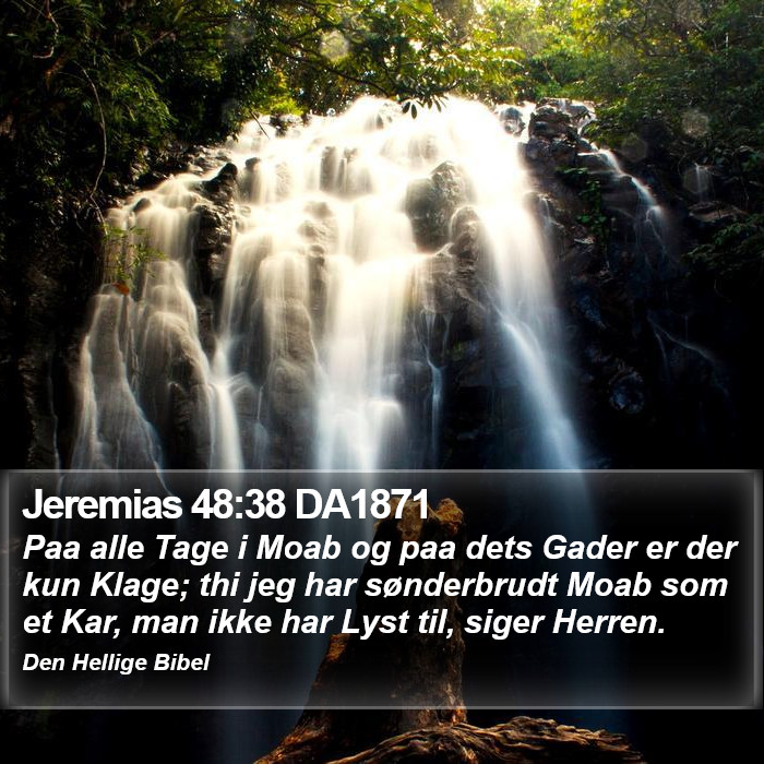 Jeremias 48:38 DA1871 Bible Study