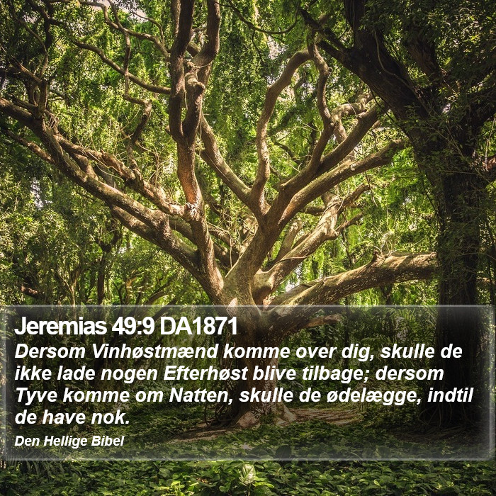 Jeremias 49:9 DA1871 Bible Study