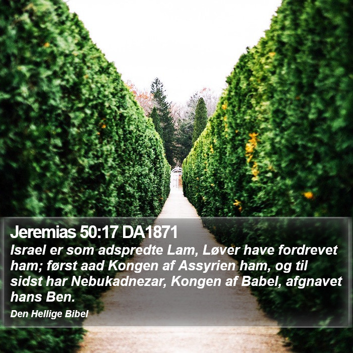 Jeremias 50:17 DA1871 Bible Study