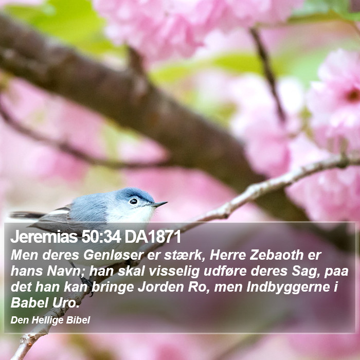 Jeremias 50:34 DA1871 Bible Study