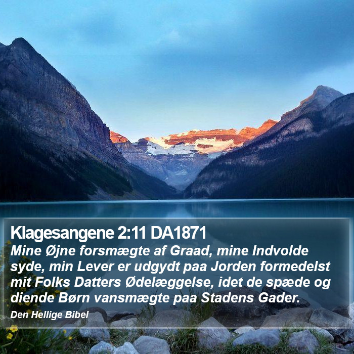 Klagesangene 2:11 DA1871 Bible Study