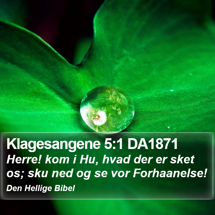 Klagesangene 5:1 DA1871 Bible Study