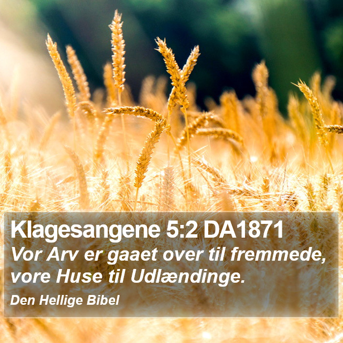 Klagesangene 5:2 DA1871 Bible Study