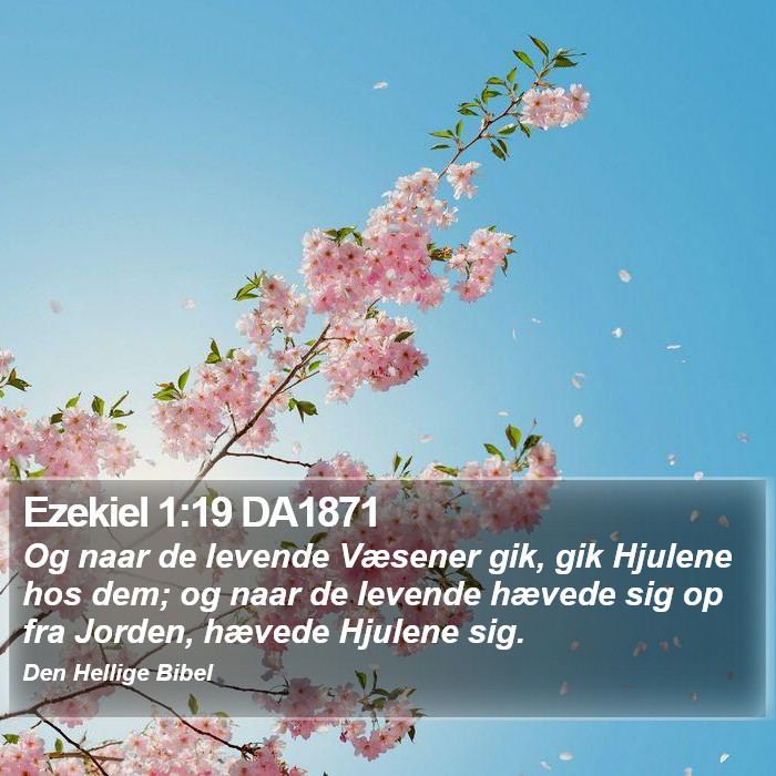 Ezekiel 1:19 DA1871 Bible Study