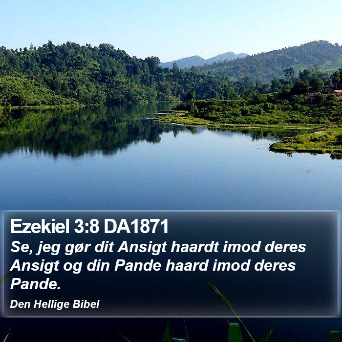Ezekiel 3:8 DA1871 Bible Study