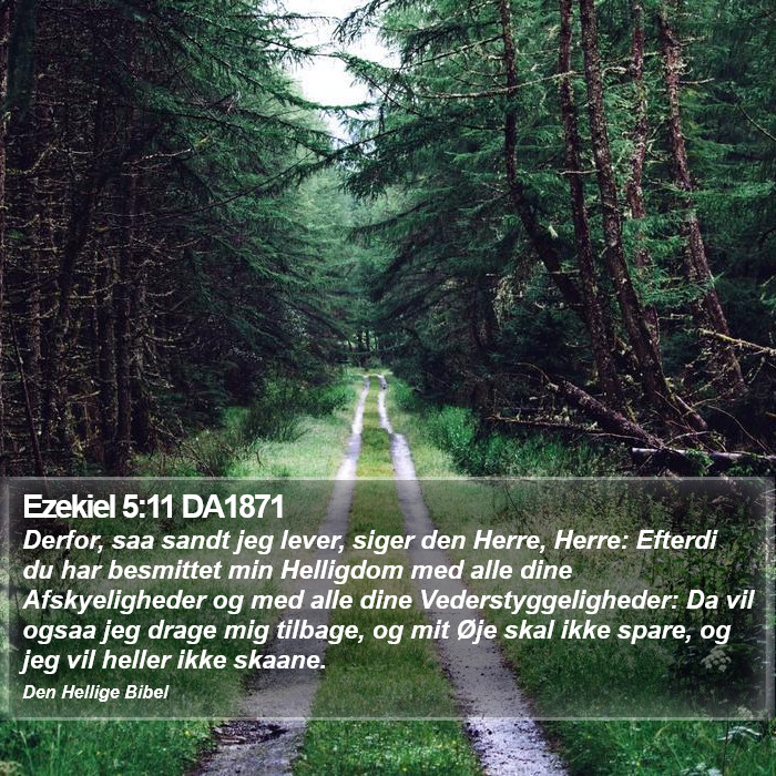 Ezekiel 5:11 DA1871 Bible Study