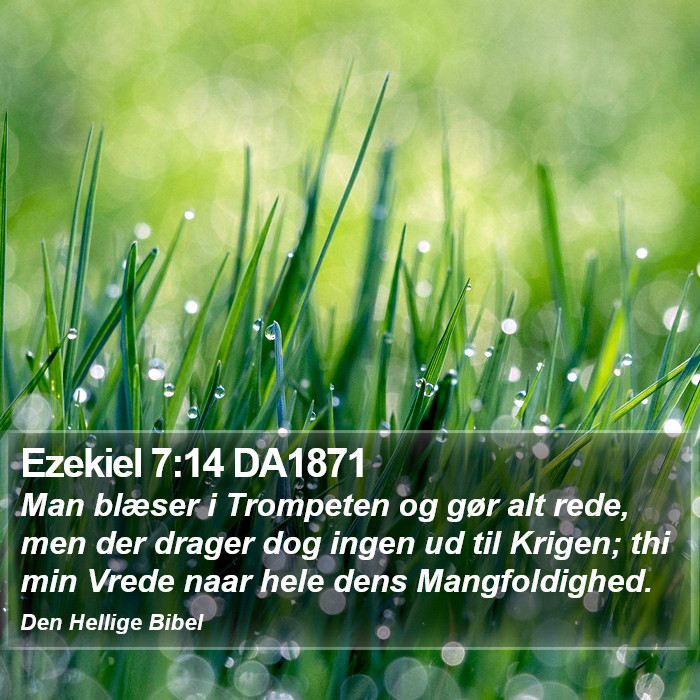 Ezekiel 7:14 DA1871 Bible Study