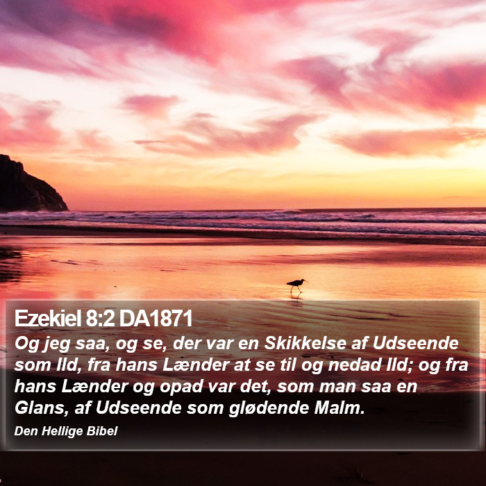 Ezekiel 8:2 DA1871 Bible Study