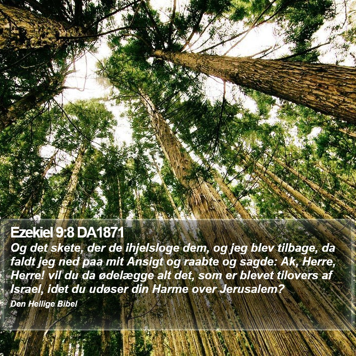 Ezekiel 9:8 DA1871 Bible Study