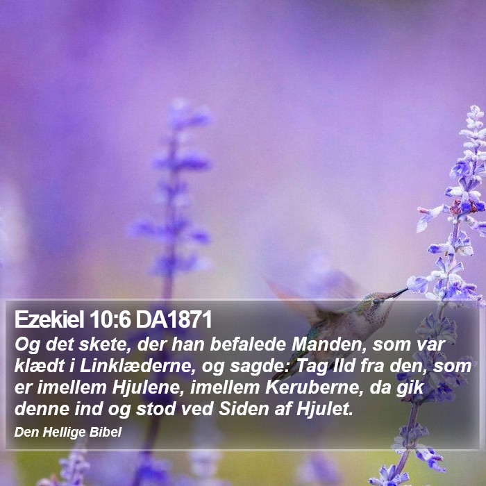 Ezekiel 10:6 DA1871 Bible Study
