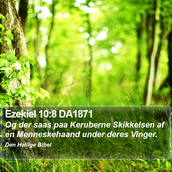 Ezekiel 10:8 DA1871 Bible Study