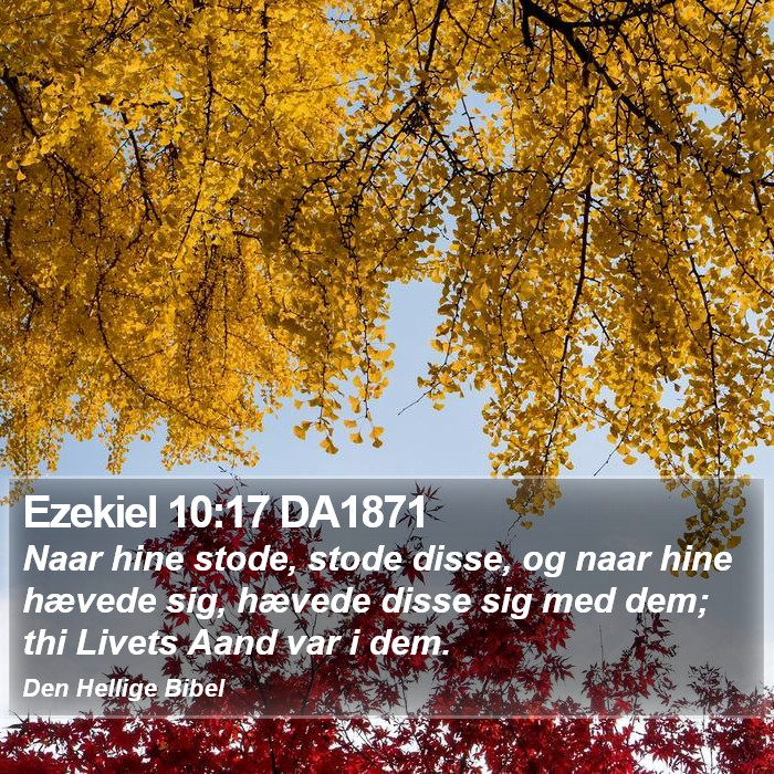 Ezekiel 10:17 DA1871 Bible Study