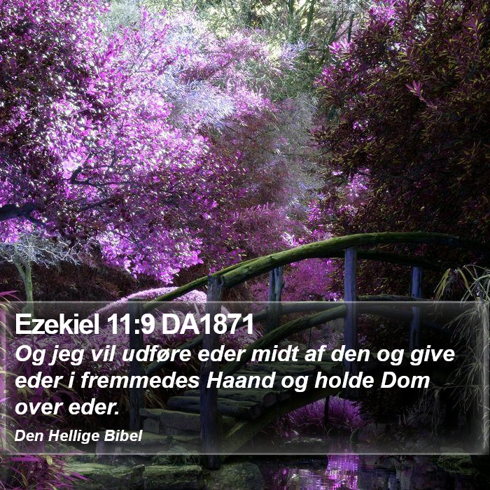 Ezekiel 11:9 DA1871 Bible Study