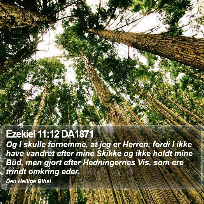 Ezekiel 11:12 DA1871 Bible Study