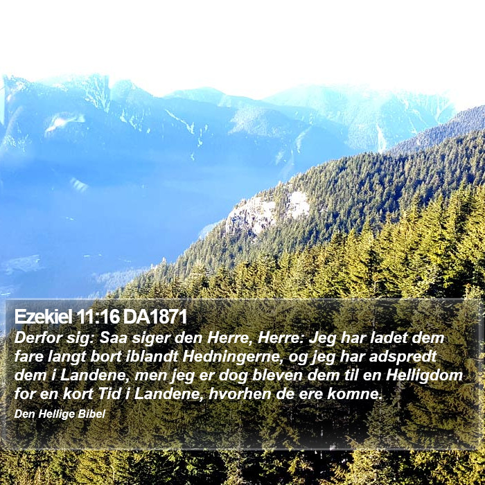 Ezekiel 11:16 DA1871 Bible Study
