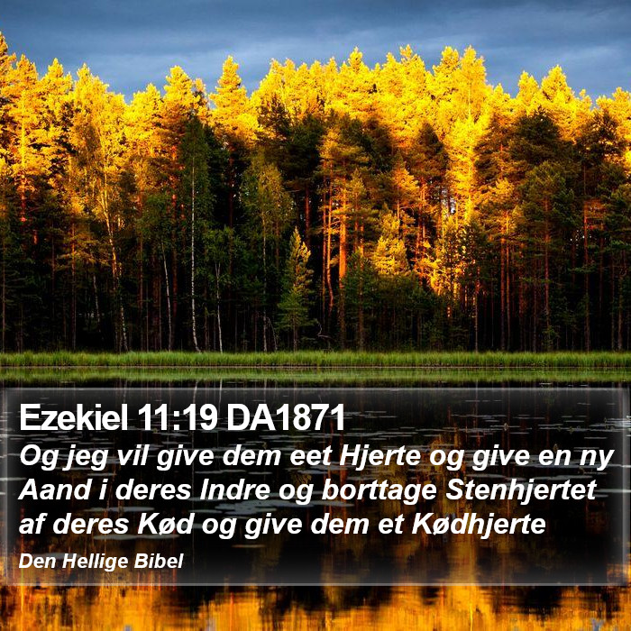 Ezekiel 11:19 DA1871 Bible Study
