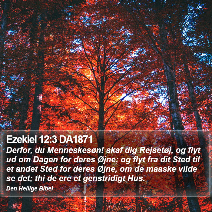 Ezekiel 12:3 DA1871 Bible Study