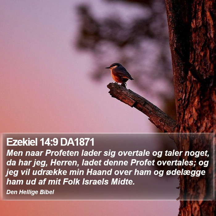 Ezekiel 14:9 DA1871 Bible Study