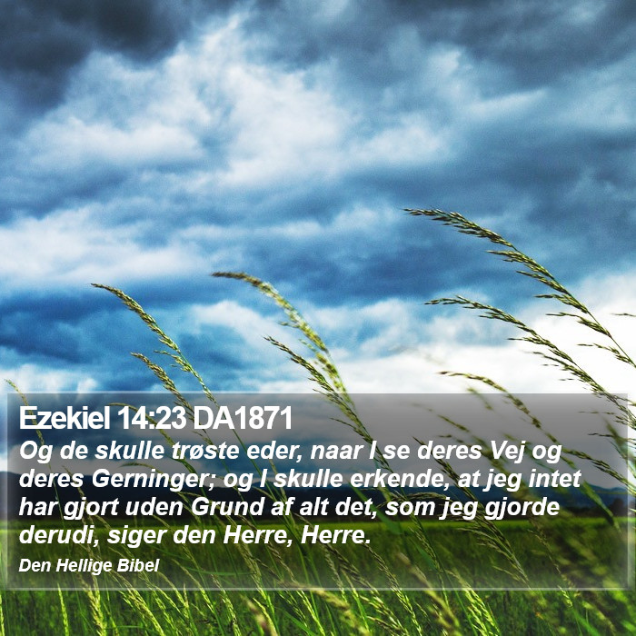 Ezekiel 14:23 DA1871 Bible Study