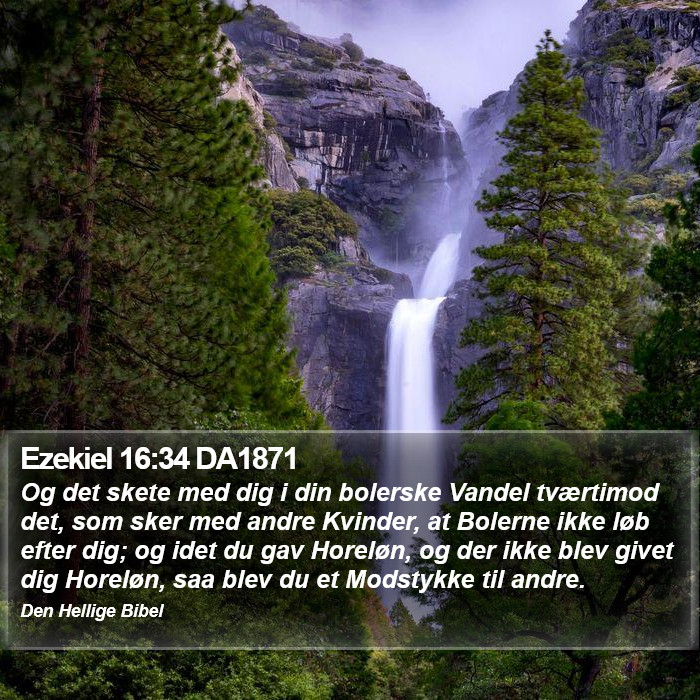 Ezekiel 16:34 DA1871 Bible Study