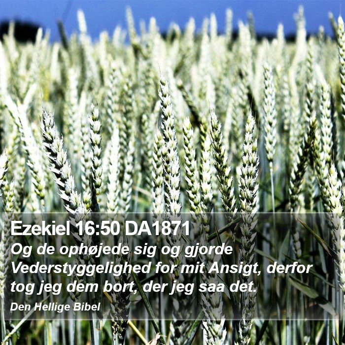 Ezekiel 16:50 DA1871 Bible Study