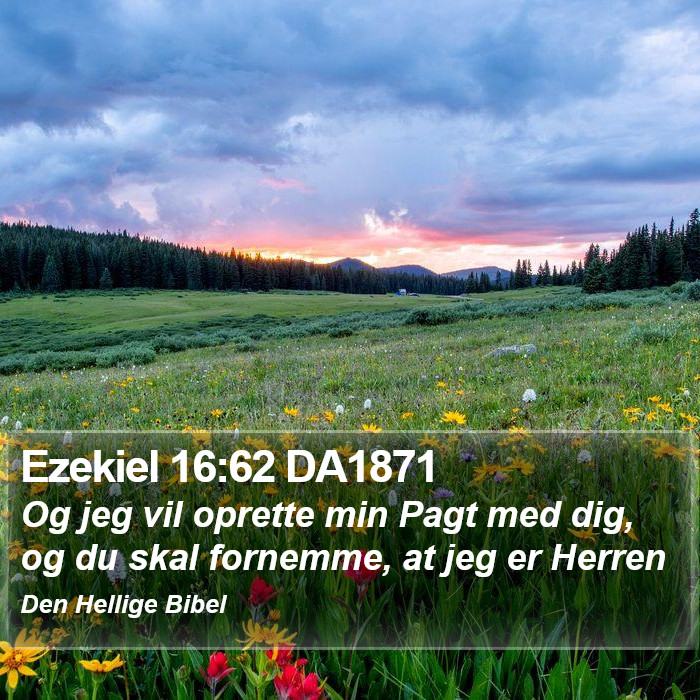 Ezekiel 16:62 DA1871 Bible Study