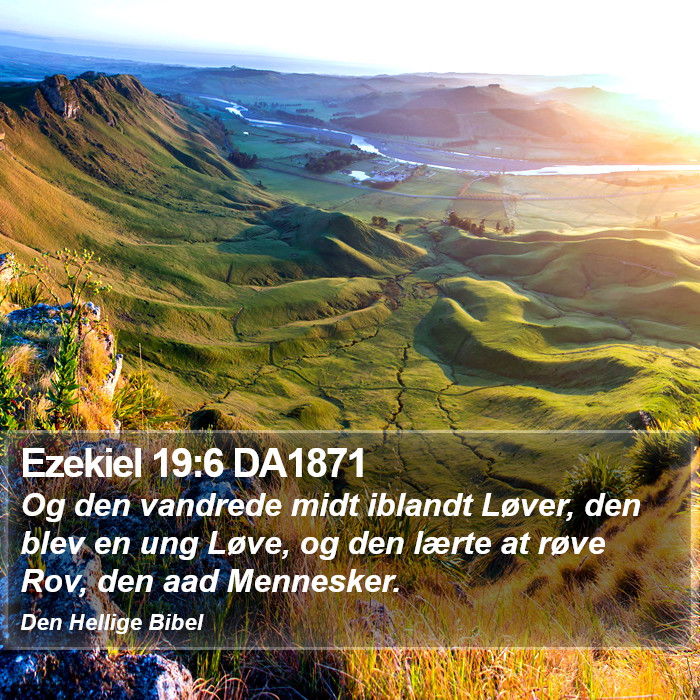 Ezekiel 19:6 DA1871 Bible Study