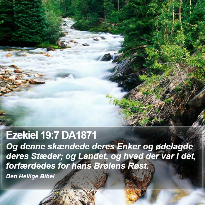 Ezekiel 19:7 DA1871 Bible Study