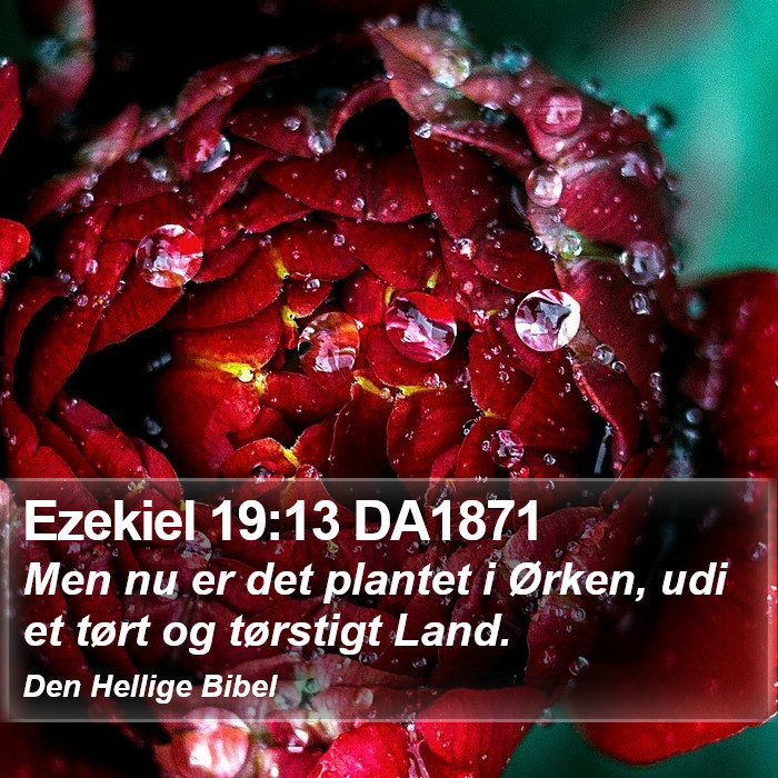 Ezekiel 19:13 DA1871 Bible Study