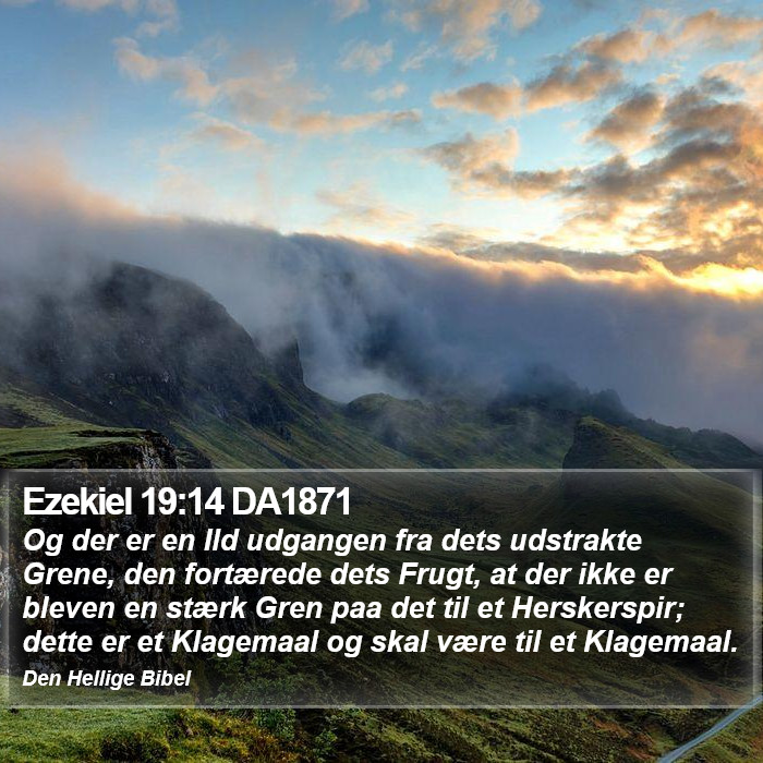 Ezekiel 19:14 DA1871 Bible Study