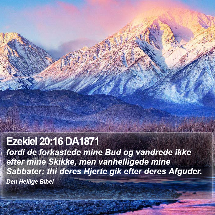 Ezekiel 20:16 DA1871 Bible Study