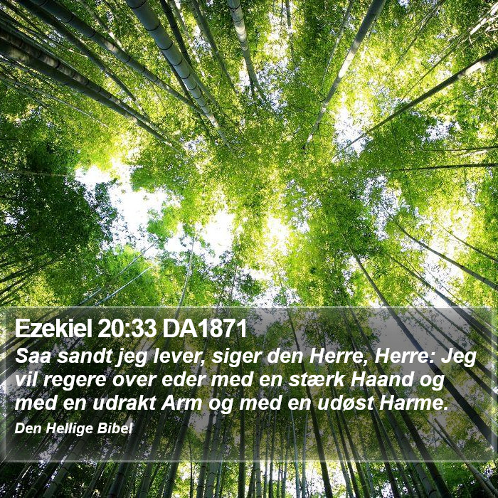 Ezekiel 20:33 DA1871 Bible Study