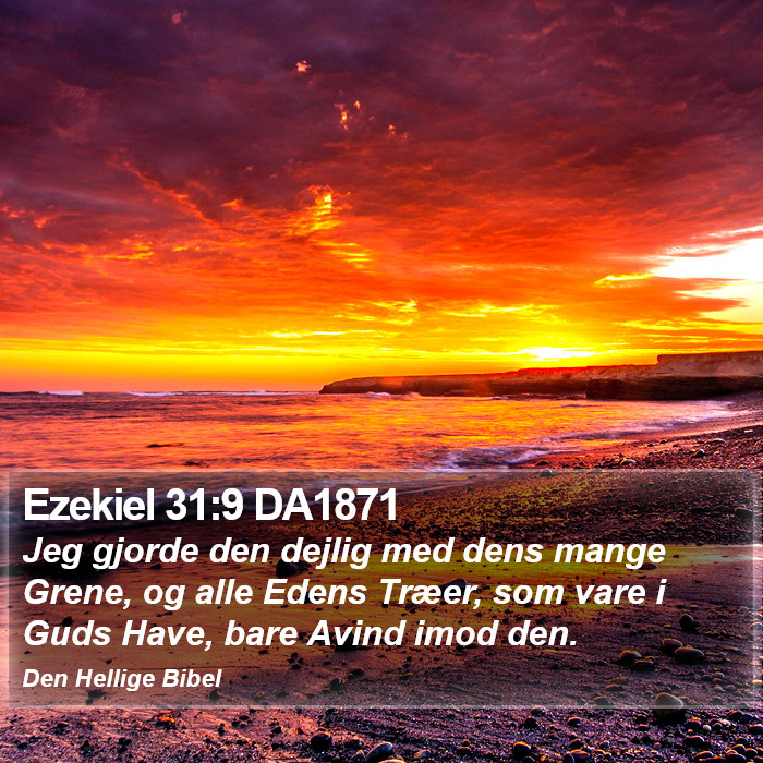 Ezekiel 31:9 DA1871 Bible Study