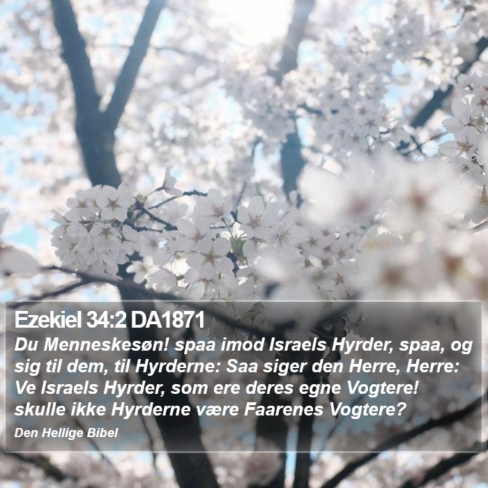 Ezekiel 34:2 DA1871 Bible Study