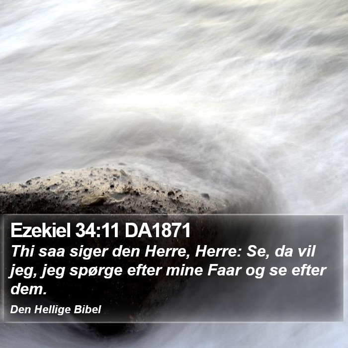 Ezekiel 34:11 DA1871 Bible Study