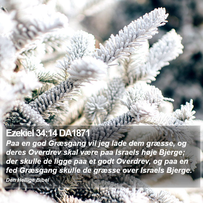 Ezekiel 34:14 DA1871 Bible Study
