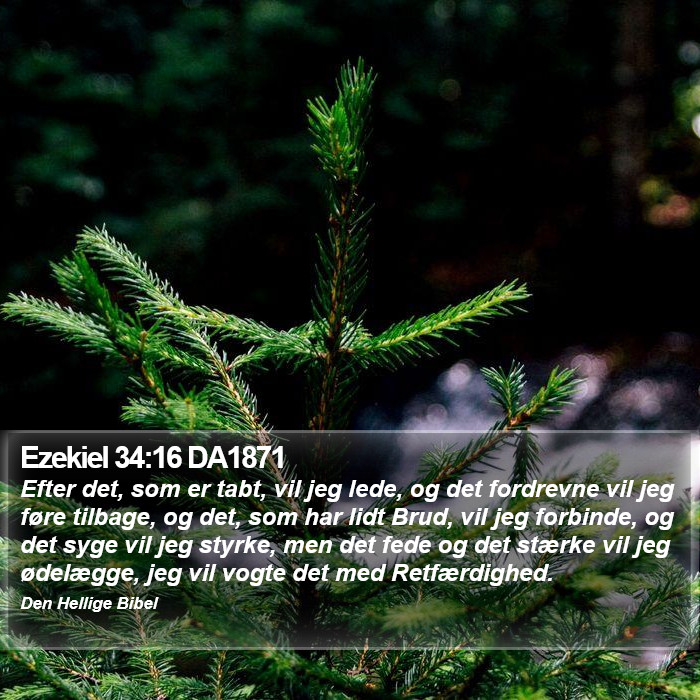 Ezekiel 34:16 DA1871 Bible Study