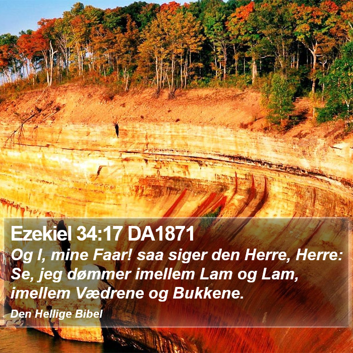 Ezekiel 34:17 DA1871 Bible Study