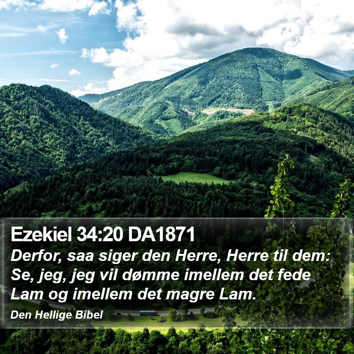 Ezekiel 34:20 DA1871 Bible Study
