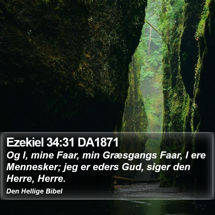 Ezekiel 34:31 DA1871 Bible Study