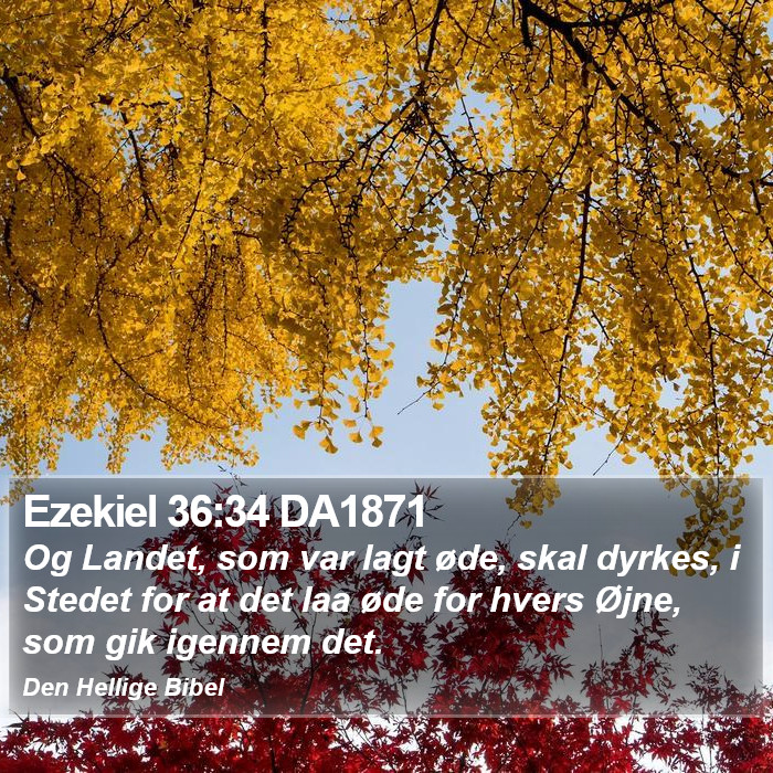 Ezekiel 36:34 DA1871 Bible Study