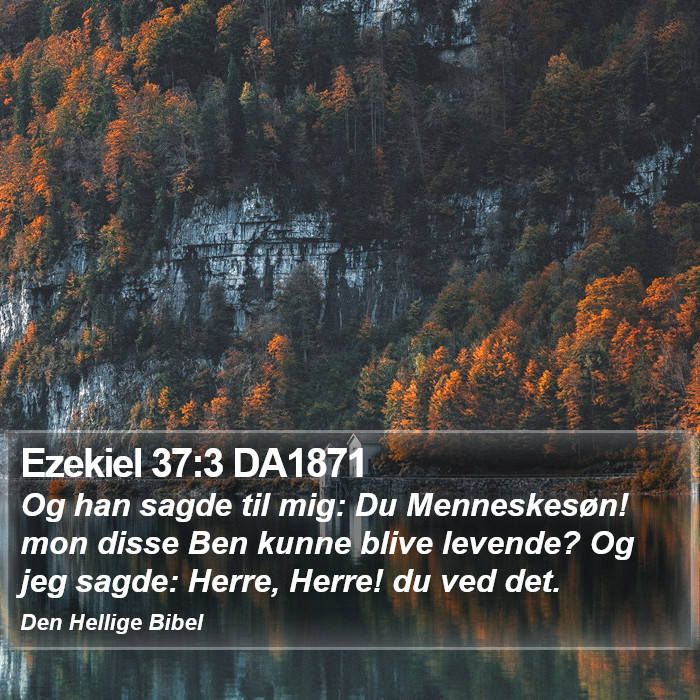 Ezekiel 37:3 DA1871 Bible Study