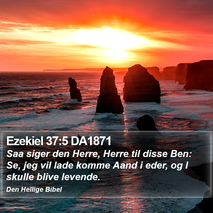 Ezekiel 37:5 DA1871 Bible Study